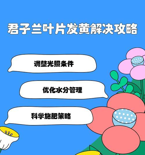 君子兰叶子去除过多的补救措施是什么？