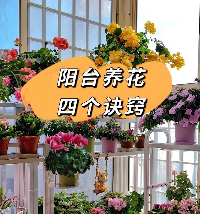 庭院阳台适合种植哪些花卉？