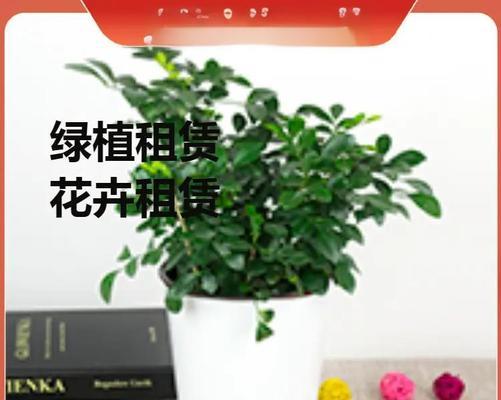 自制硼沙泥土肥料的步骤是什么？