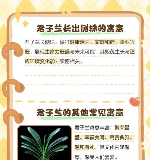 君子兰小侧芽移栽的最佳时机和步骤是什么？