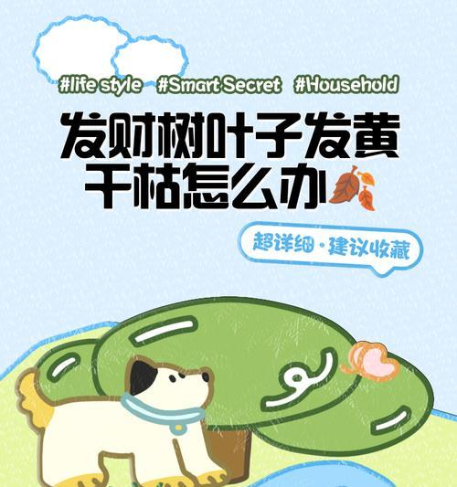发财树冻伤叶子发黄如何处理？有哪些预防措施？