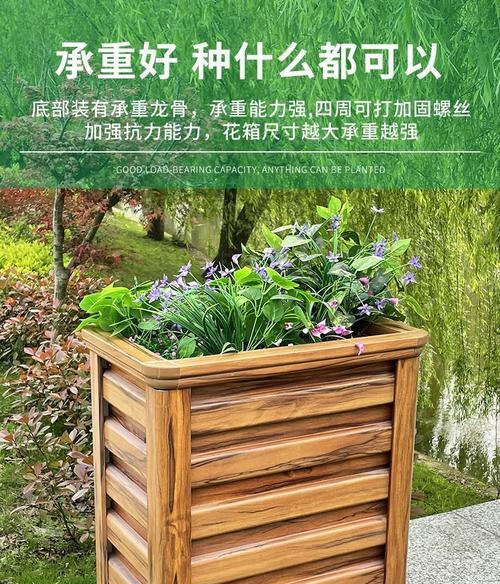 蛇菰栽培技术要点是什么？如何提高成活率？