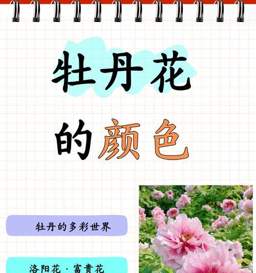 花的别称有哪些？它们各自的含义是什么？