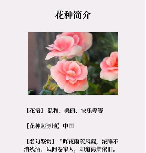 如何理解成熟花朵的象征意义？成熟的花寓意着什么？