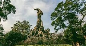 五羊象征的花卉是什么？它们各自有何意义？