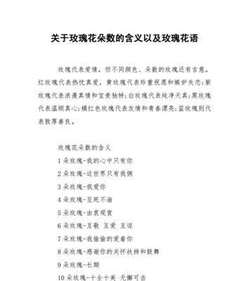 一支玫瑰的花语和代表意义是什么？
