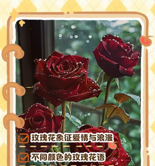 每朵花背后的独特含义和花语全知道是什么？