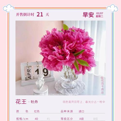 牡丹花的花语和含义有哪些？