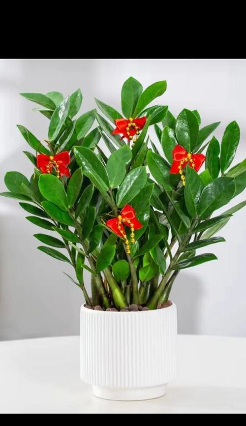 财富象征的花绿植有哪些？它们在风水学中如何应用？