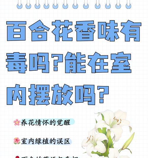 插很多香的花有何寓意？香花的文化象征。
