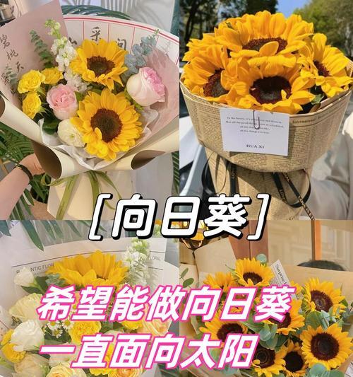 哪些花寓意光明和希望？寓意光明和希望的花有哪些？