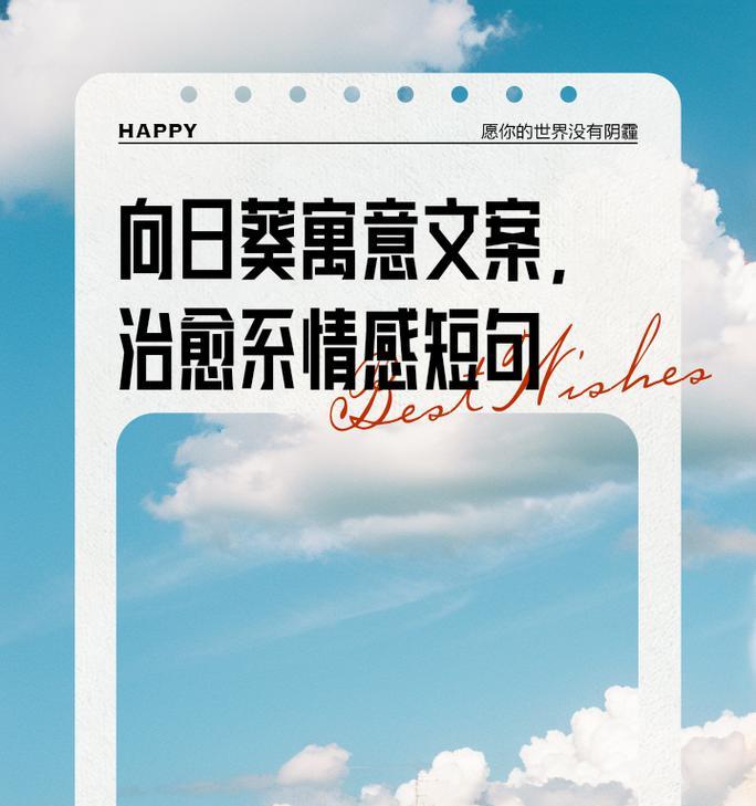 太阳花沉默时代表什么？太阳花深层含义是什么？