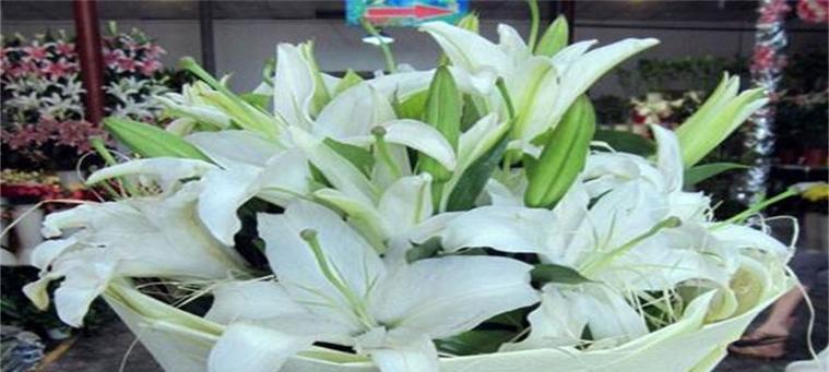 屎和花组合的含义和花语是什么？