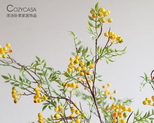马桑果花的寓意是什么？马桑果花象征着什么？