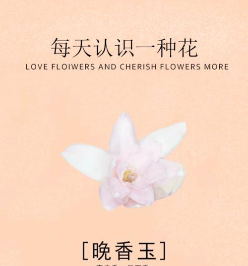 100种花的花语大全如何解读？解读花语的方法有哪些？
