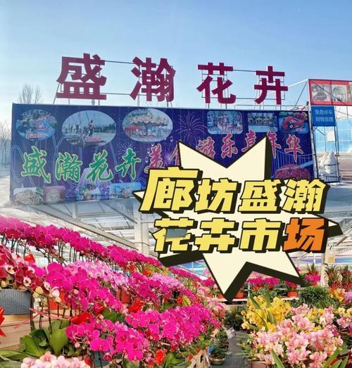 廊坊荣盛花语城的花语是什么？荣盛花语城的花语有何深意？