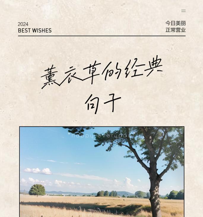 薰衣草的花语含义是什么？它为何有时会被认为是祸害？