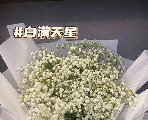 满天星的花语有哪些？满天星代表什么？