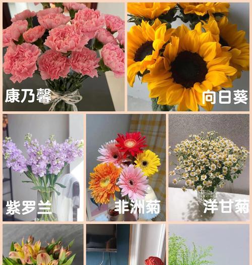 这种花的寓意是什么？花语背后隐藏着哪些秘密？