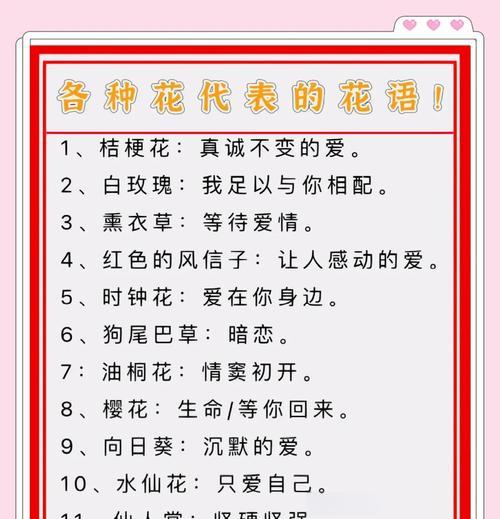 网名“花雨”有何深层含义？