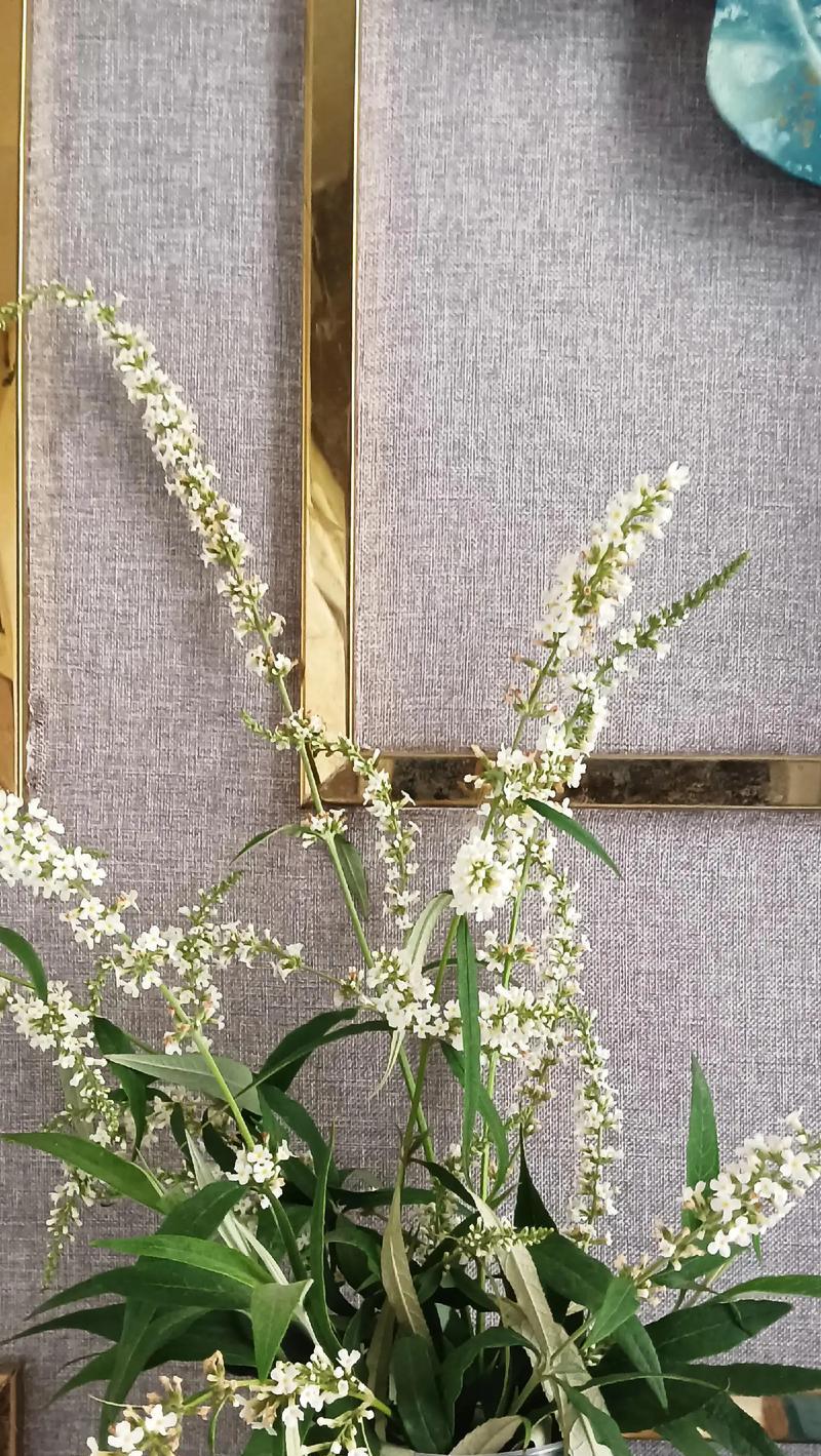 平凡的花中哪种最有特殊含义？
