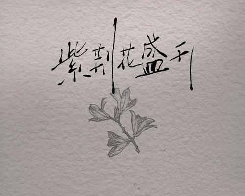 紫荆花在心中代表了什么？