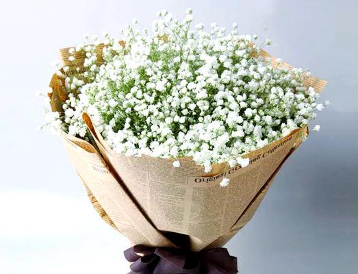 群星象征的花有哪些？哪些花卉代表繁星和夜空？