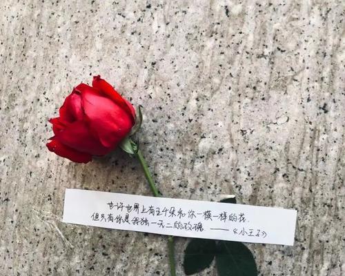 玫瑰花的评论如何理解？它们在评论中传达了哪些情感？