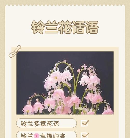 宁静花卉有哪些？它们的花语是什么？