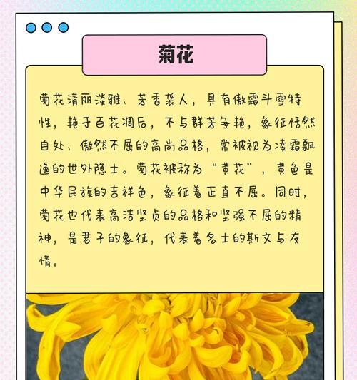 哪些花象征着不畏强权？它们代表了怎样的精神？