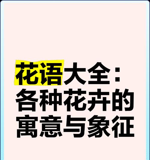 各种花的花语与代表的寓意是什么？如何挑选合适的花表达情感？