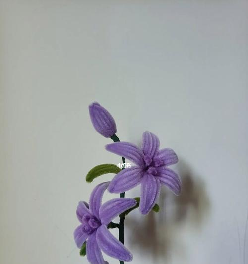 扭扭棒适合哪种花？花的寓意和选择指南是什么？