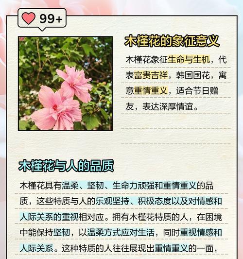 数字在花语中代表什么？花数字的寓意有哪些？