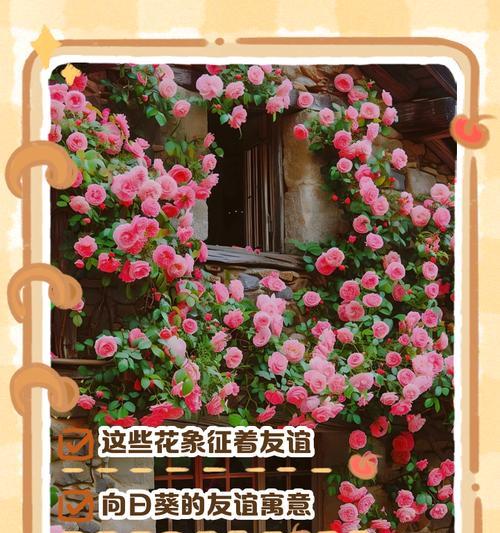 有哪些花象征美好的花语？它们各自传达了哪些积极的信息？