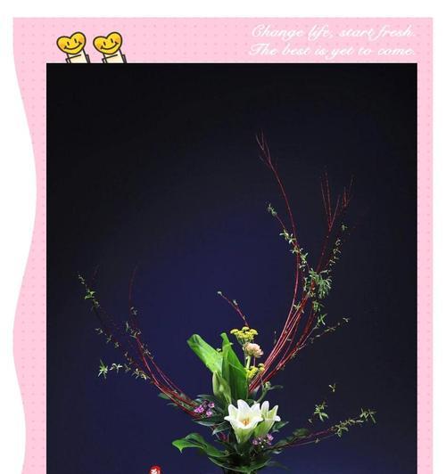 秋的碗花寓意是什么？如何用花卉庆祝秋天的到来？