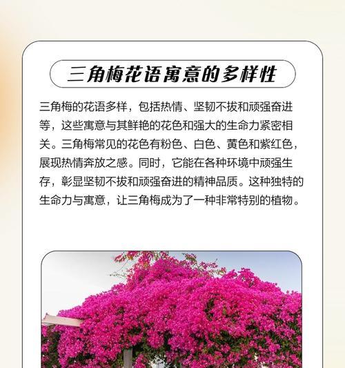 厚脸皮的花有何寓意？探索花语背后的故事。