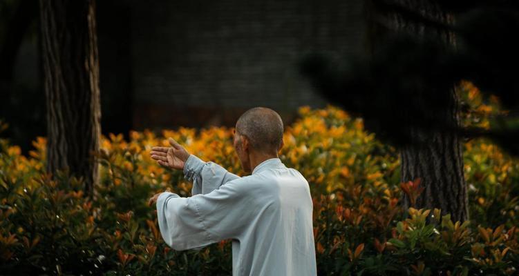 无妄之花象征着什么？它在文化中有何特别之处？