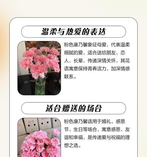 康乃馨的花语是什么？与情感有何联系？