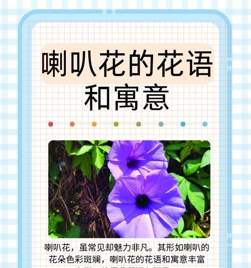 花在爱情中的含义是什么？