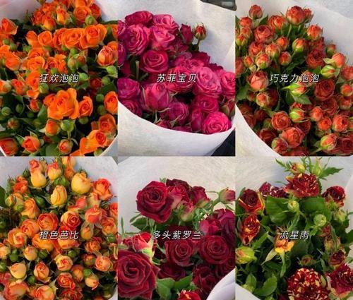 黑色鸡冠花的花语如何解读？