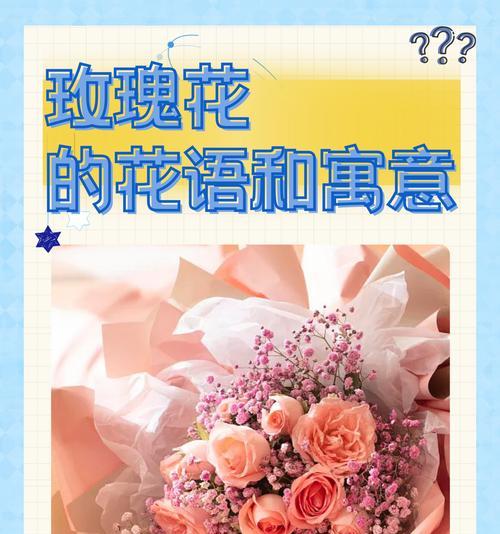 橘花象征的情感是什么？它有何特殊含义？