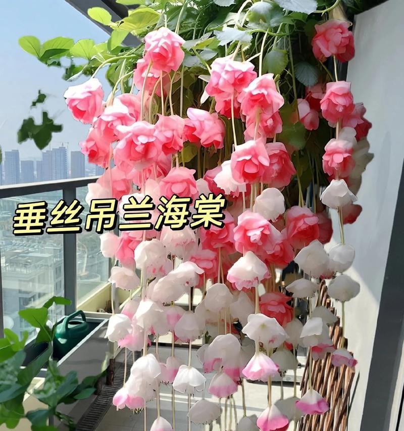 裸根花束的花语含义？象征着什么特别意义？