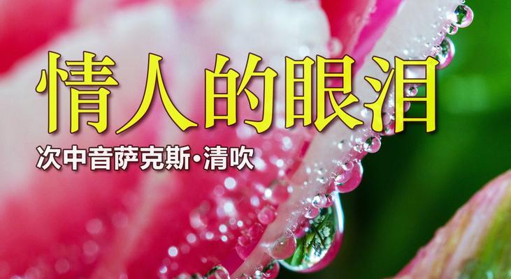 情人泪花象征着什么？情人泪花的花语代表什么？