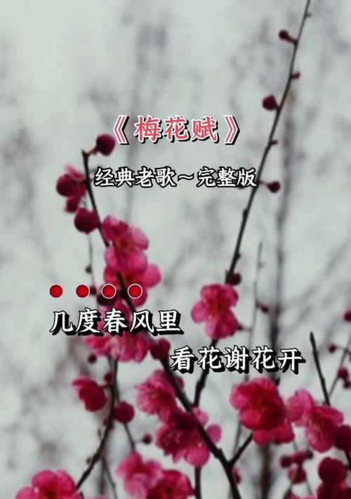 花的凋零代表什么？花的凋零在情感上意味着什么？