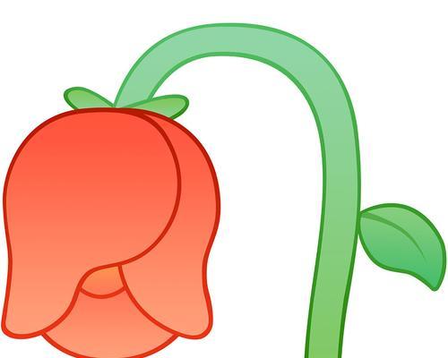 花的凋零代表什么？花的凋零在情感上意味着什么？