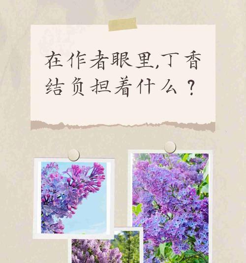 花喻人有哪些寓意？它们各自代表了什么意义？