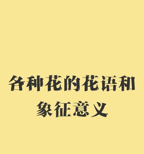 褒义象征的花有哪些？它们的花语是什么？
