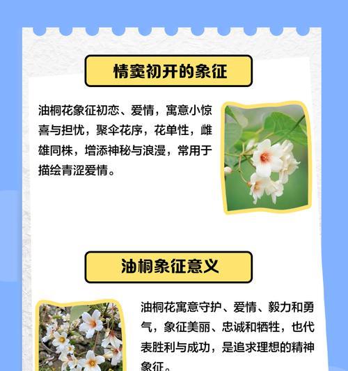 褒义象征的花有哪些？它们的花语是什么？