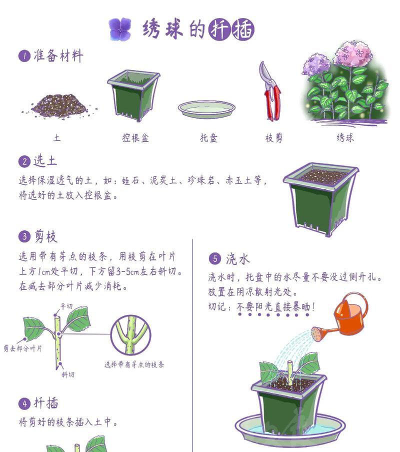 以扦插苗的繁殖方法及优势（揭秘绿色种植的新趋势）