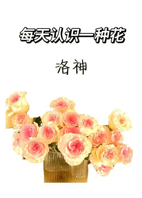 用玫瑰花语表白的浪漫之道（玫瑰花语的意义和表达爱意的技巧）